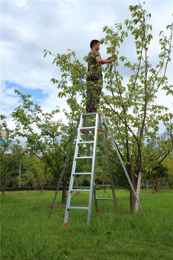 家用葫芦娃黄片软件下载厂家.jpg